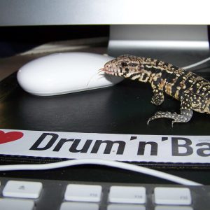DJ KBASHA