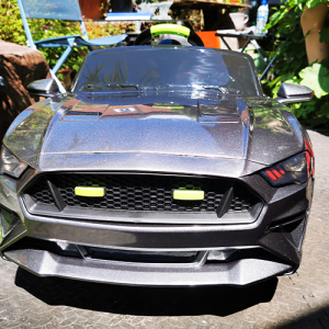 Toddler Mustang