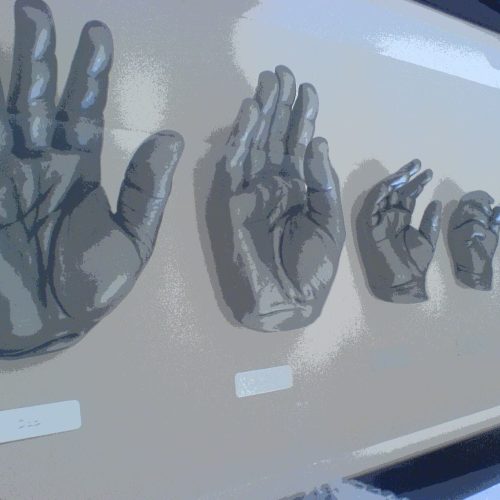 Body Casting