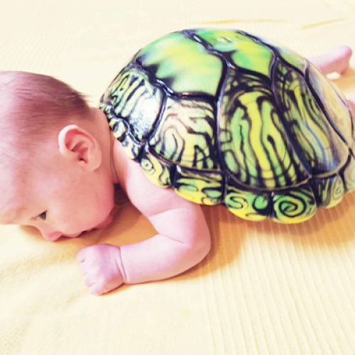 Pregnancy Bump Turtle